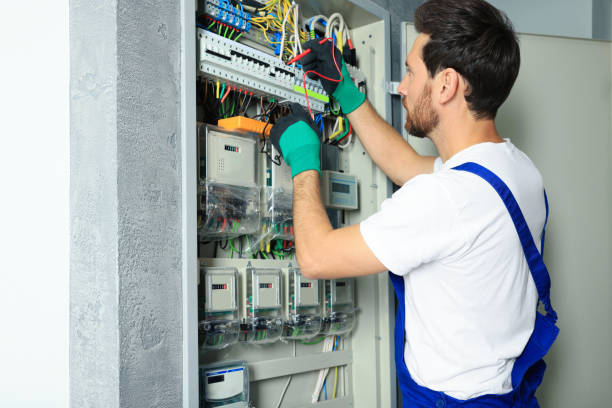 Best Home Electrical Repair  in Chesaning, MI
