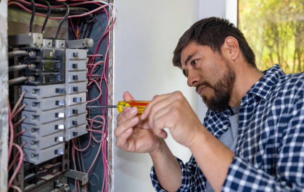 Best Electrical System Inspection  in Chesaning, MI
